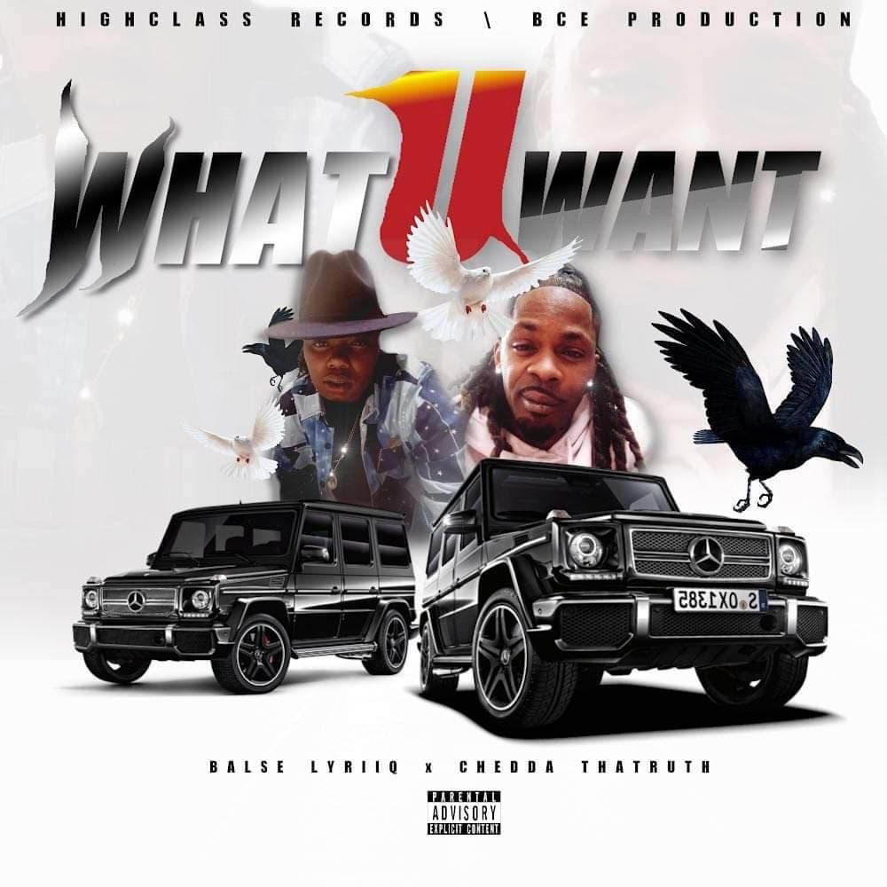 What You Want(feat. Cheddathatruth) (Explicit)