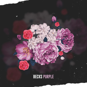 收聽Becks的Purple (Explicit)歌詞歌曲
