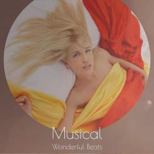 Album Musical Wonderful Beats from 
