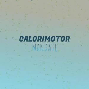 Album Calorimotor Mandate from Various