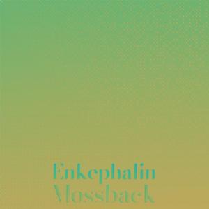 Various Artists的專輯Enkephalin Mossback