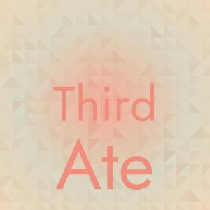 Various Artists的專輯Third Ate