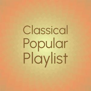 Various Artists的專輯Classical Popular Playlist