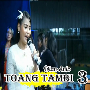 Dian Anic的專輯Toang Tambi (3)