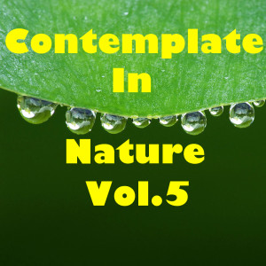 Album Contemplate In Nature, Vol.5 oleh Various