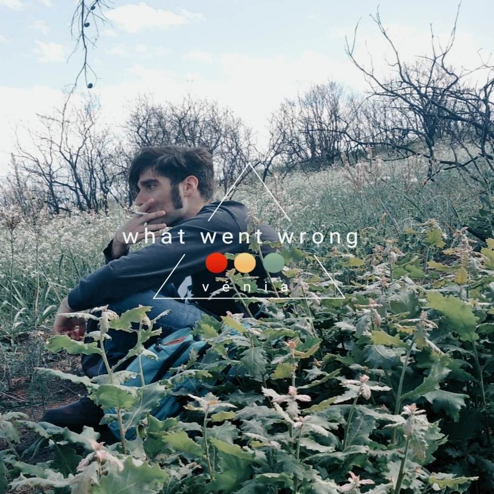 What Went Wrong (Explicit)