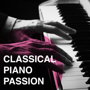 Various Artists的專輯Classical Piano Passion