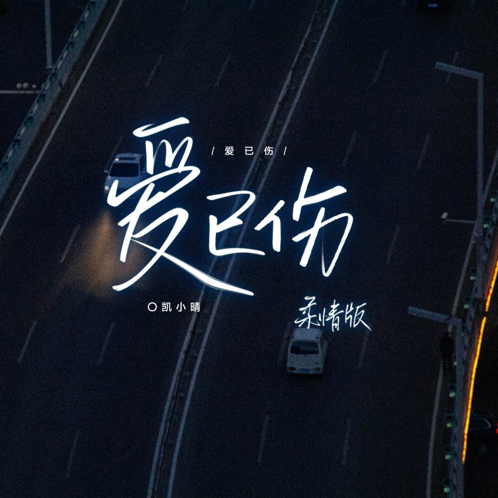 爱已伤 (柔情版DJ伴奏)
