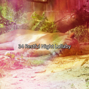 34 Restful Night Lullaby