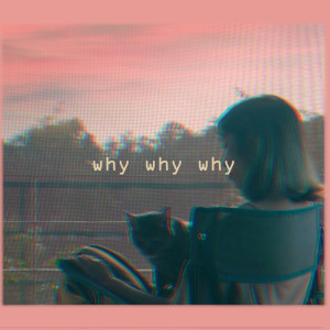 ดาวน์โหลดและฟังเพลง Why Why Why พร้อมเนื้อเพลงจาก YONLAPA