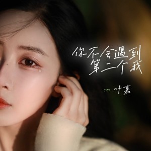 Album 你不会遇到第二个我 from 