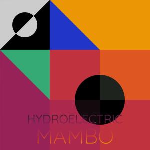 Various Artists的專輯Hydroelectric Mambo