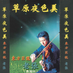 Dengarkan 十五的月亮 lagu dari 张国祥 dengan lirik