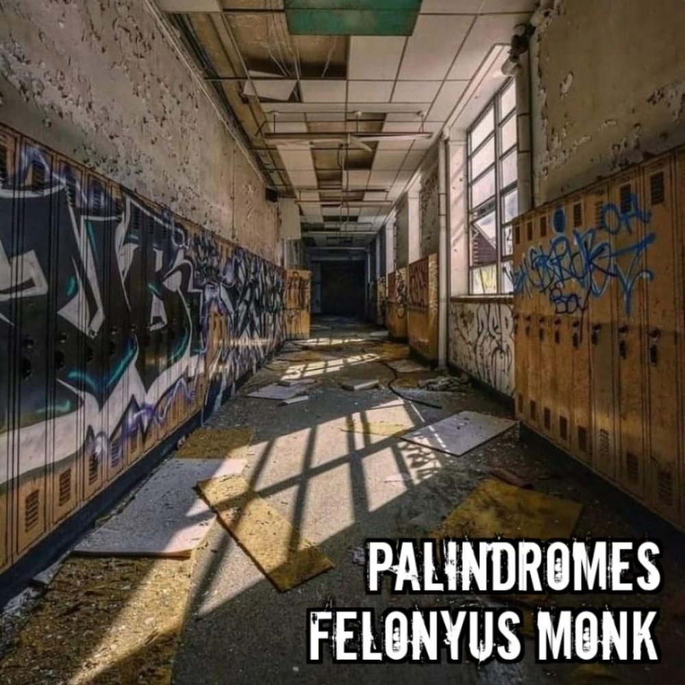 Palindrome (lofi_chill_study)
