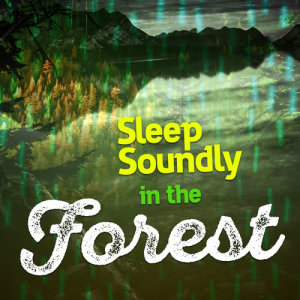 Deep Sleep Nature Sounds的專輯Sleep Soundly in the Forest