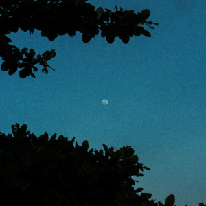 Album last day of summer from Nokiaa