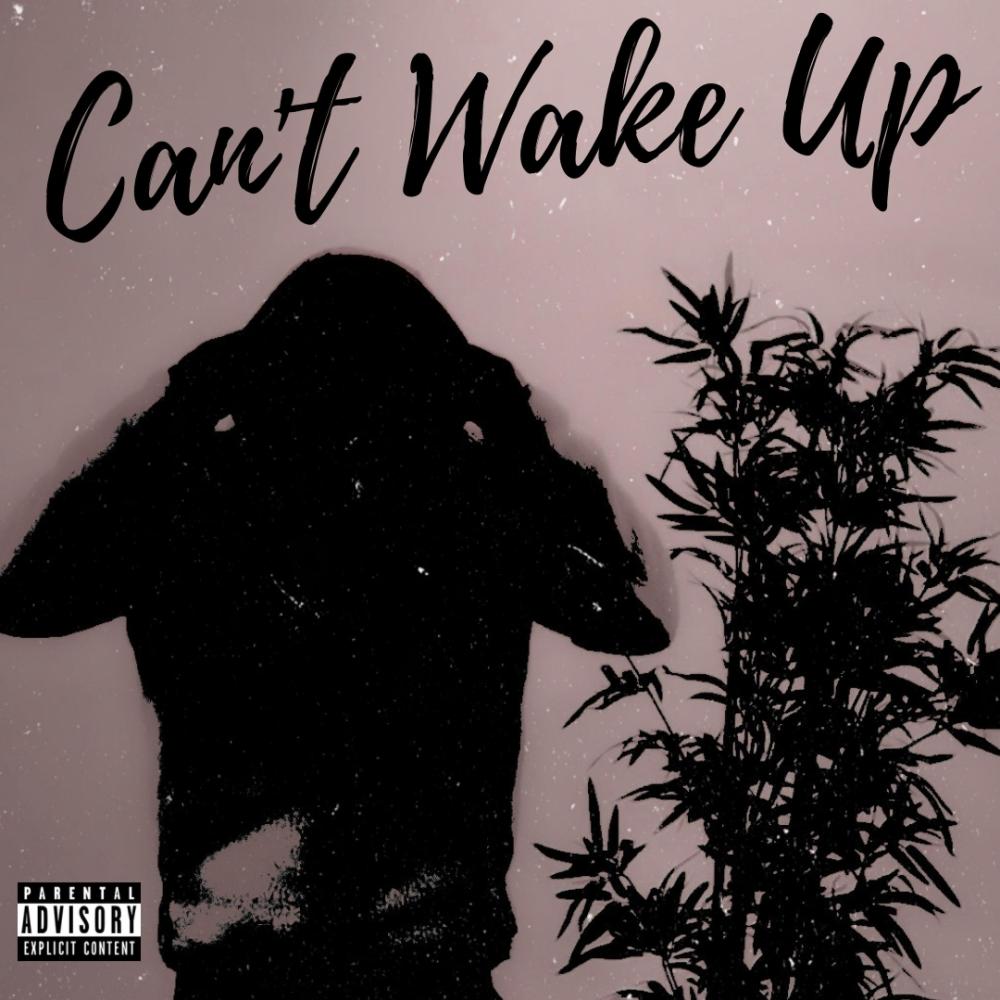 Can't Wake Up (Explicit)