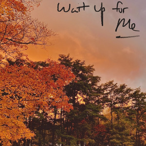 อัลบัม Wait up for Me ศิลปิน Nick Dastardly & the Escape Artists