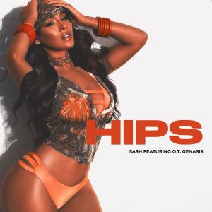 อัลบัม HIPS (feat. O.T. Genasis) [Radio Edit] ศิลปิน Sash