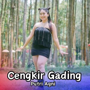 Dengarkan lagu Cengkir Gading nyanyian Putri Agni dengan lirik