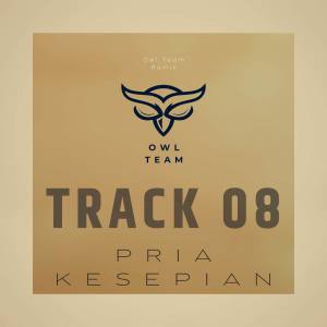 Owl_Team的专辑Pria Kesepian Pargoy (Instrument)