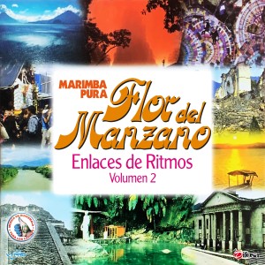 ดาวน์โหลดและฟังเพลง Enlace de Cumbias: En Cuilco Me Enamoré / La Gugusita / Toty / Huehuetequita / Lesbia María / La Cañada พร้อมเนื้อเพลงจาก Marimba Flor del Manzano