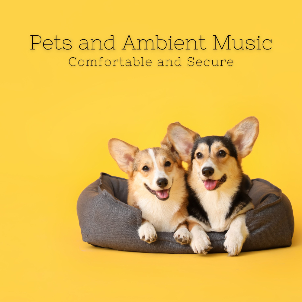 Mind-clearing Ambient Frequency