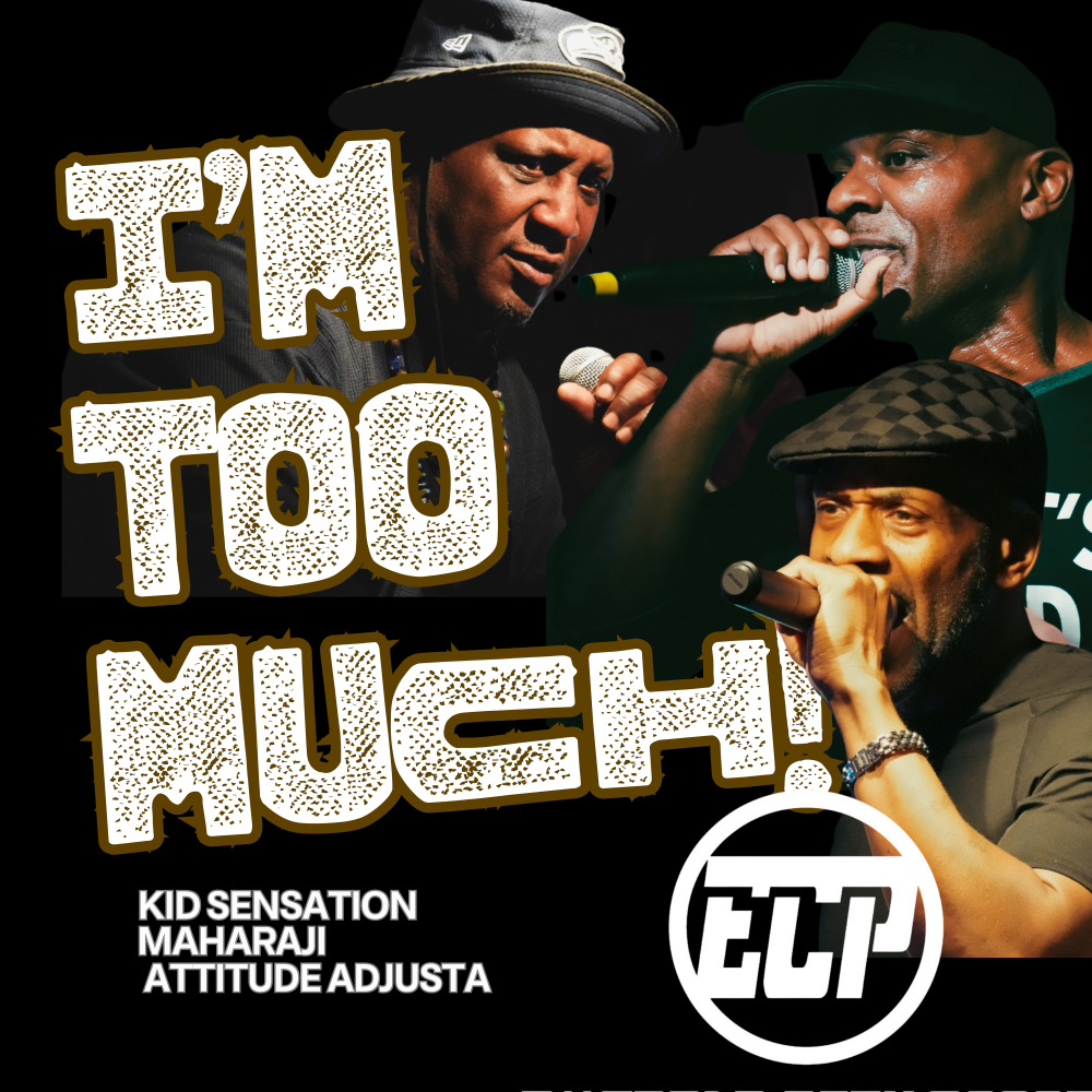 I'm Too Much (Extended Single Mix)