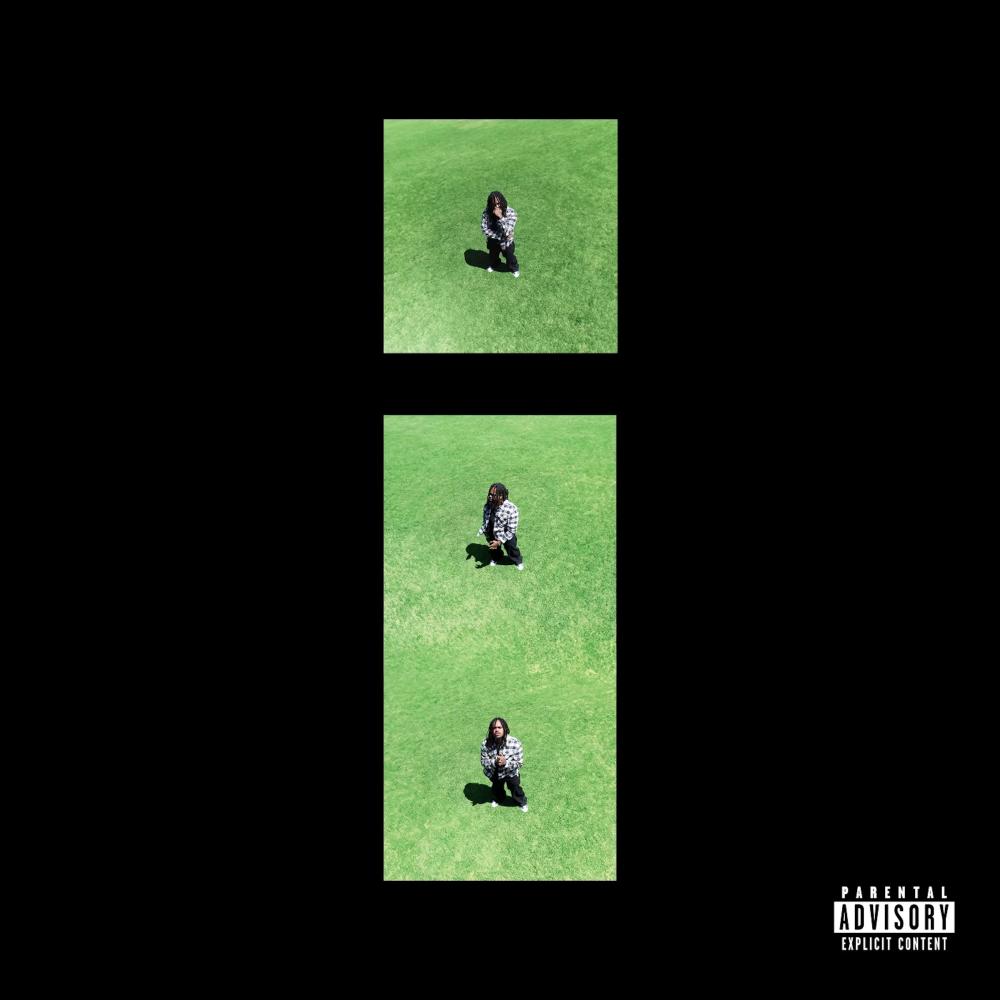 iNDIFFERENT (feat. Zelooperz) (Explicit)