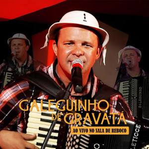 Dengarkan lagu Velho Arvoredo (Ao Vivo) nyanyian Galeguinho de Gravatá dengan lirik