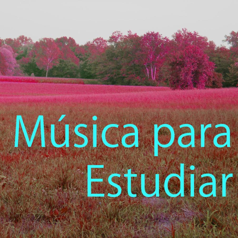 Música para Estudiar 4 (????? ????? ???? ?? ??? ??????)