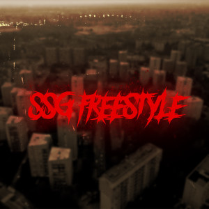 收听Diabloobaby的S$G Freestyle歌词歌曲
