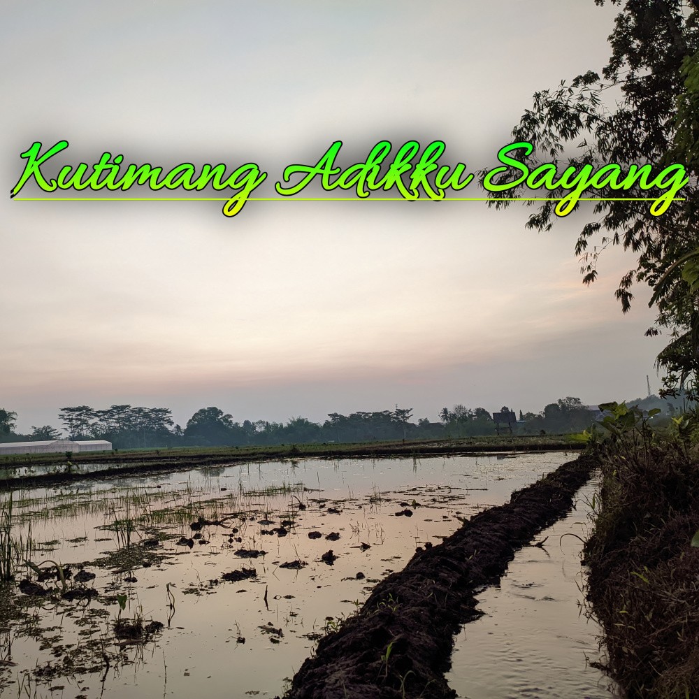 Kutimang Adikku Sayang