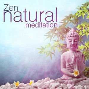 ดาวน์โหลดและฟังเพลง Chaffinch Brook พร้อมเนื้อเพลงจาก Zen Natural Meditation