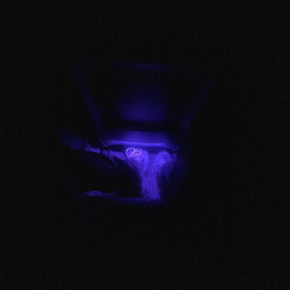 Jet Lees Double Cup (Explicit)