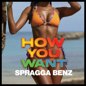 Spragga Benz的專輯How You Want (Explicit)
