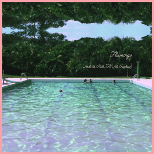 Album Arde La Pista (feat. Ale Pacheco) from Ale Pacheco