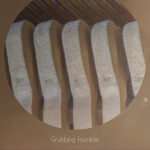 Various Artists的專輯Grubbing Fountain
