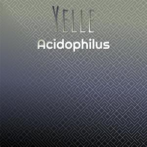 Listen to Yelle Acidophilus song with lyrics from Sason Suria