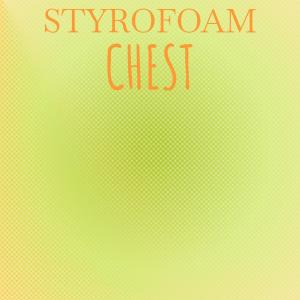 ดาวน์โหลดและฟังเพลง Widespread Kiddo พร้อมเนื้อเพลงจาก Ermand Elle