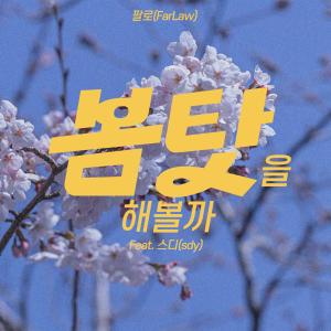 Listen to 봄 탓을 해볼까 (Feat. 스디) (About Spring) song with lyrics from 팔로