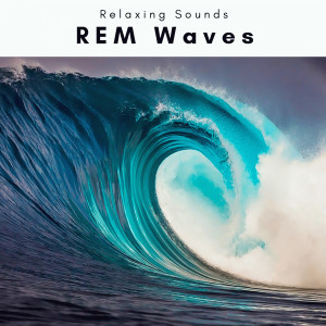 1 REM Waves