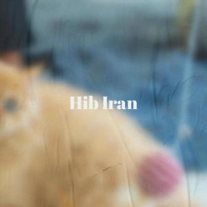 Album Hib Iran from 