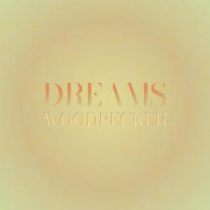 Various的专辑Dreams Woodpecker