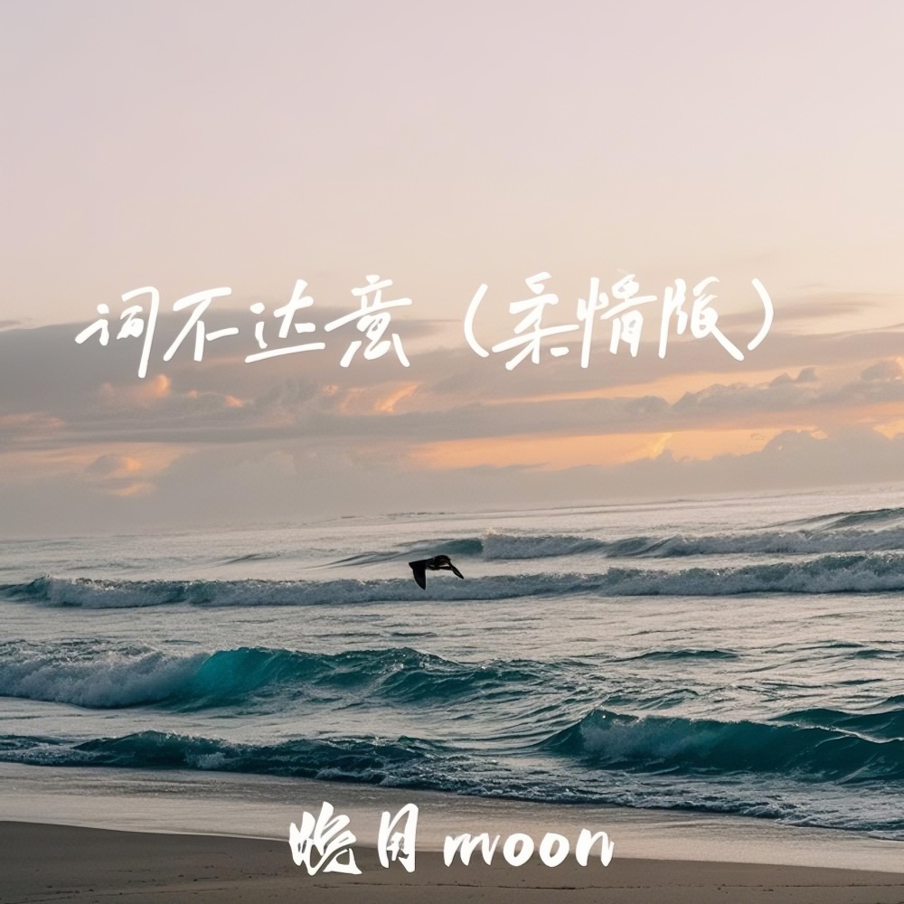 词不达意（柔情版） (完整版)