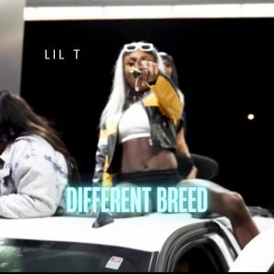 อัลบัม Different Breed (Explicit) ศิลปิน Lil T