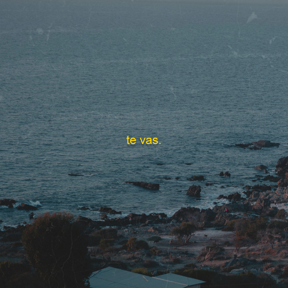 Te Vas