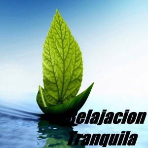 ดาวน์โหลดและฟังเพลง Relax พร้อมเนื้อเพลงจาก Meditación
