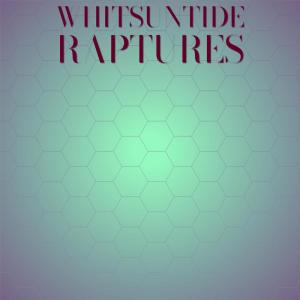 Various Artists的專輯Whitsuntide Raptures