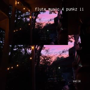 Salle的專輯flute music 4 punkz ii